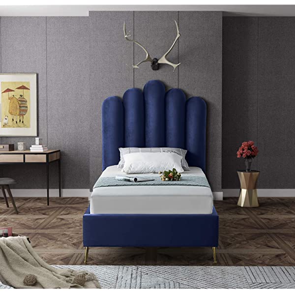 Meridian Furniture Lily Collection Modern | Contemporary Velvet Upholstered Bed with Deep Channel Tufting and Custom Gold Steel Legs, Queen, Cream Cream Queen