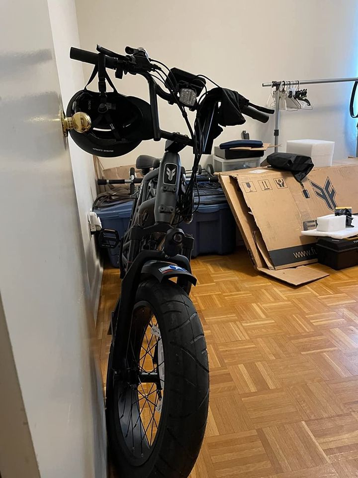 750W Electric Bike for Adults, 20'' Ebike 48V 20.8AHDual Removable Lithium Batt.