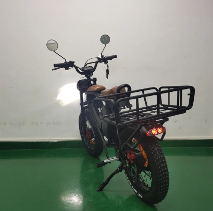 POWERFUL EBIKE DUAL MOTOR FRONT AND REAR TIRES DUAL 22AH hour BATTERY FAT TIRE ELECTRIC.