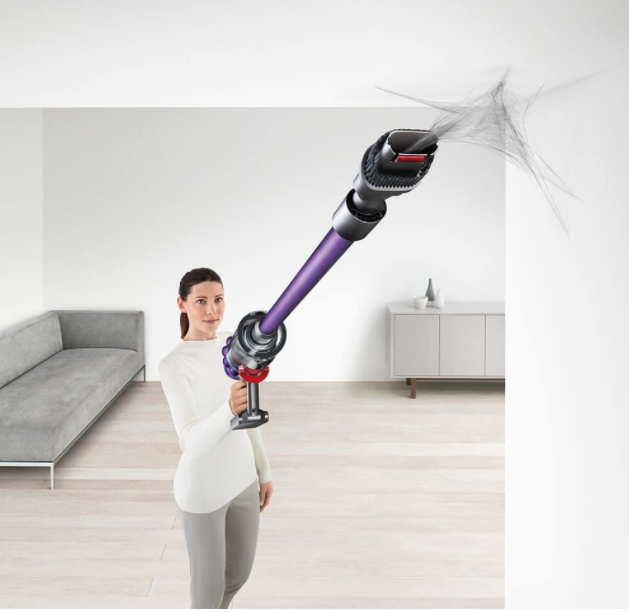 Dyson Cyclone V10 Animal, Long, 226319-01